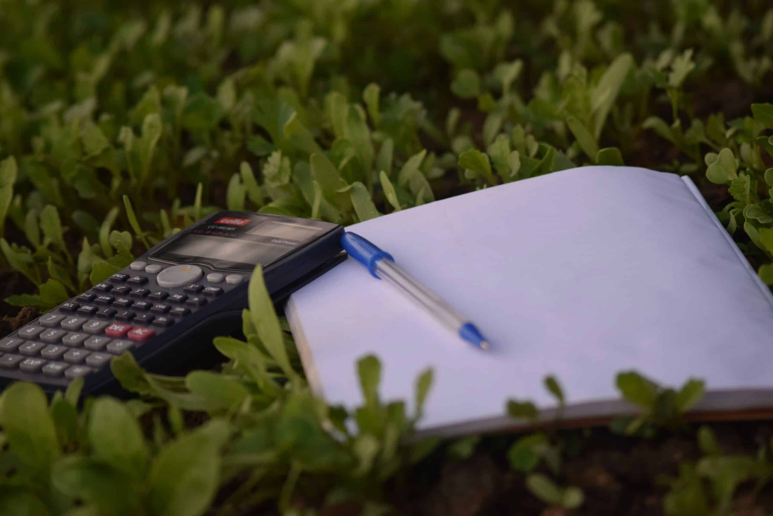 Landscaper calculating budget