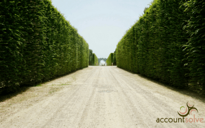 How to Use Profit First to Grow Your Landscaping Company (Without Running Out of Cash)