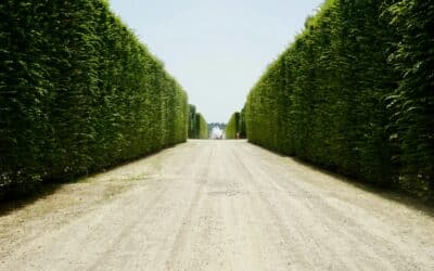 How to Use Profit First to Grow Your Landscaping Company (Without Running Out of Cash)